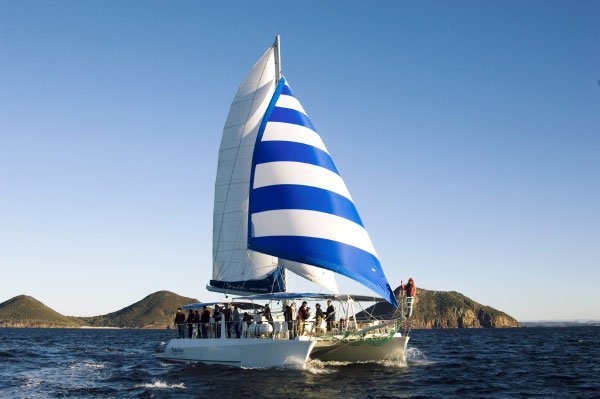 Imagine: 3hr Whale Watch Cruise